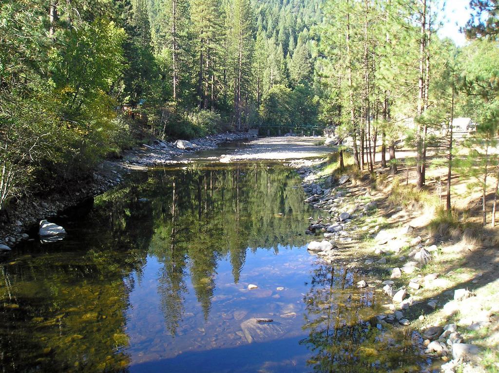 Yosemite Lakes Bunkhouse Cabin 27 Harden Flat ภายนอก รูปภาพ